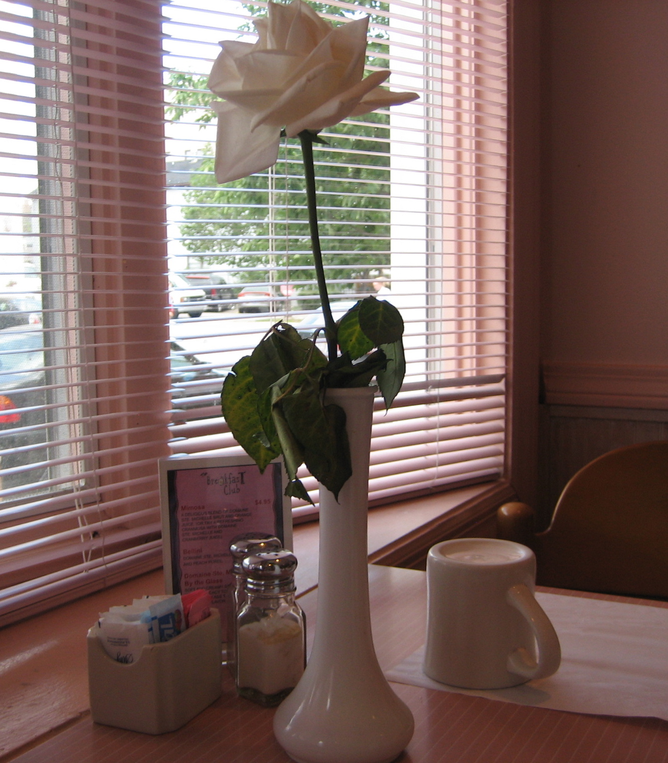 Single White Rose In Vase